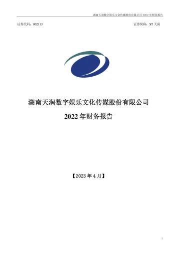 ST天润：2022年年度财务