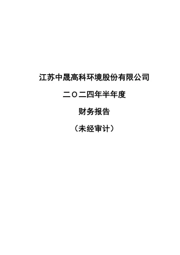 中晟高科：2024年半年度财务