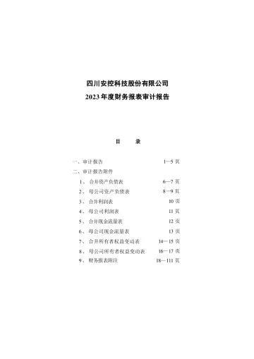 安控科技：2023年年度审计