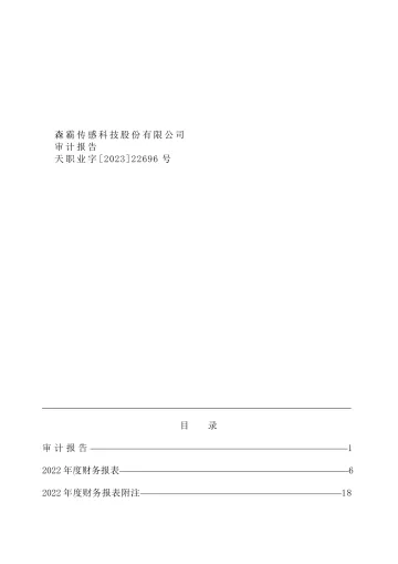 森霸传感：2022年年度审计