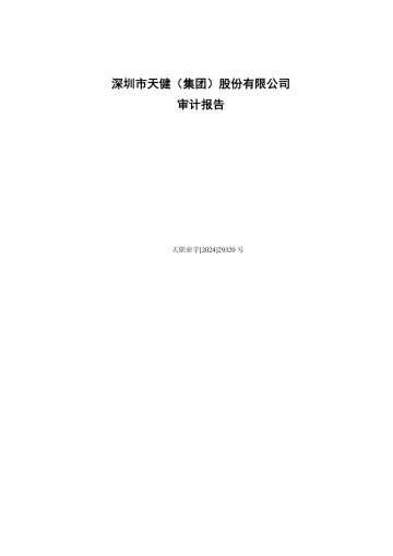 天健集团：2023年年度审计