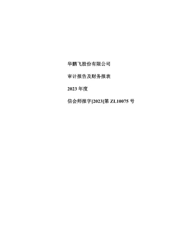 华鹏飞：2023年年度审计