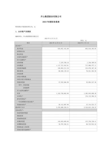 开山股份：2023年年度财务