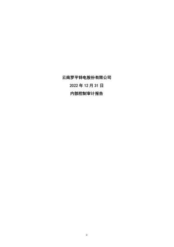 罗平锌电：2022年年度内部控制审计
