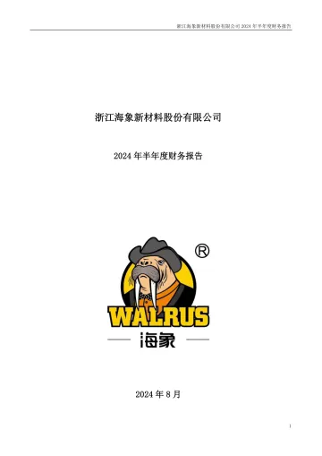 海象新材：2024年半年度财务