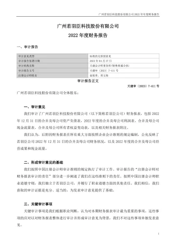 若羽臣：2022年年度财务