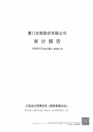 安妮股份：2022年年度审计
