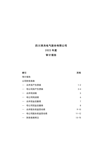 英杰电气：2022年年度审计