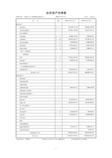 大宏立：2022年年度财务