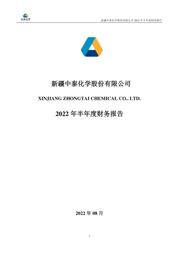 中泰化学：2022年半年度财务