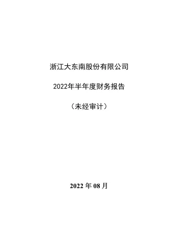 大东南：2022年半年度财务