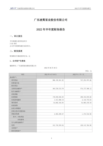 凌霄泵业：2022年半年度财务
