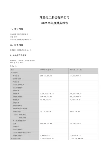 龙星化工：2022年半年度财务
