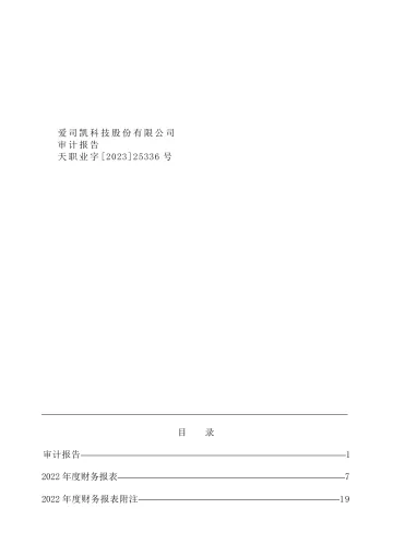 爱司凯：2022年年度审计