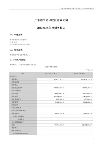 通宇通讯：2022年半年度财务