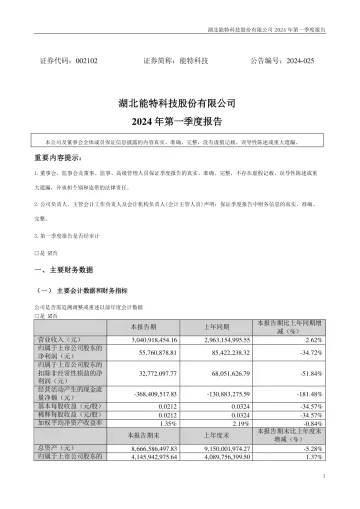 能特科技：2024年一季度