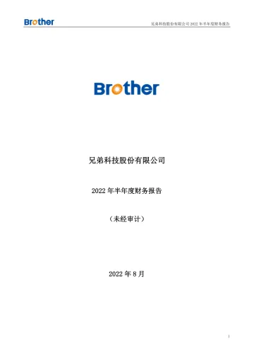 兄弟科技：2022年半年度财务