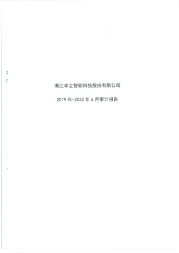 丰立智能：财务报表及审计
