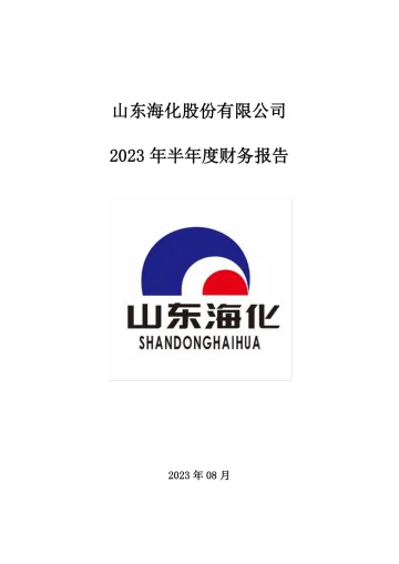 山东海化：2023年半年度财务