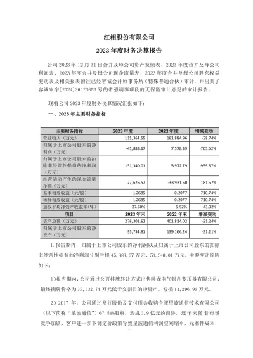 ST红相：2023年度财务决算