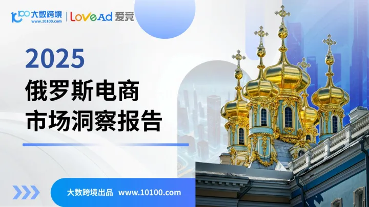 022用户画像报告138份2025年10月更新_202510月更新-2025俄罗斯电商市场洞察报告