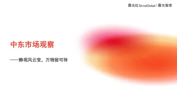 202408月更新-2024中东市场观察报告—静观风云变万物皆可待