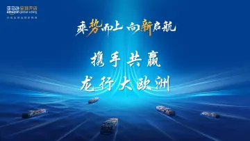 010对外国际贸易报告123份25年02月_202501月更新-亚马逊欧洲站-家具品类新卖家选品推荐