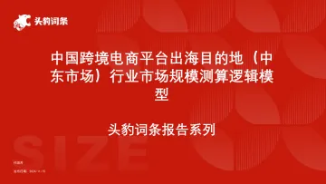 010对外国际贸易报告123份25年02月_202502月更新-中国跨境电商平台出海目的地（中东市场）行业市场规模测算逻辑模型