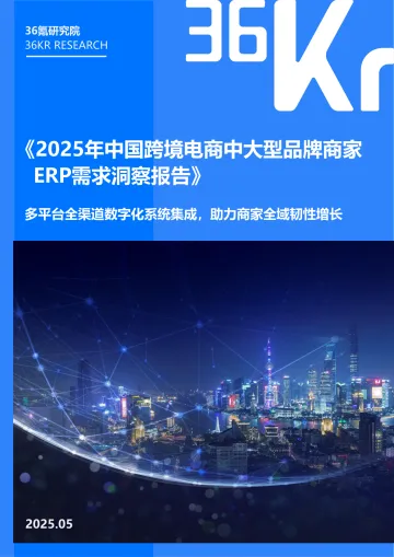 202508月更新-2025中国跨境电商中大型品牌商家ERP需求洞察报告