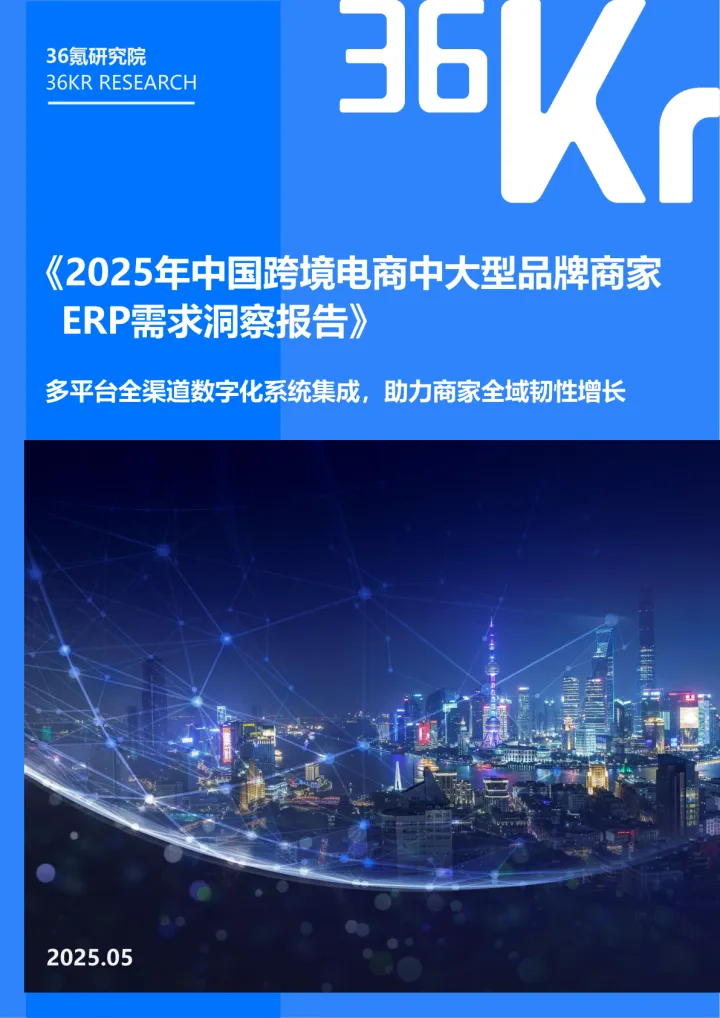 202508月更新-2025中国跨境电商中大型品牌商家ERP需求洞察报告