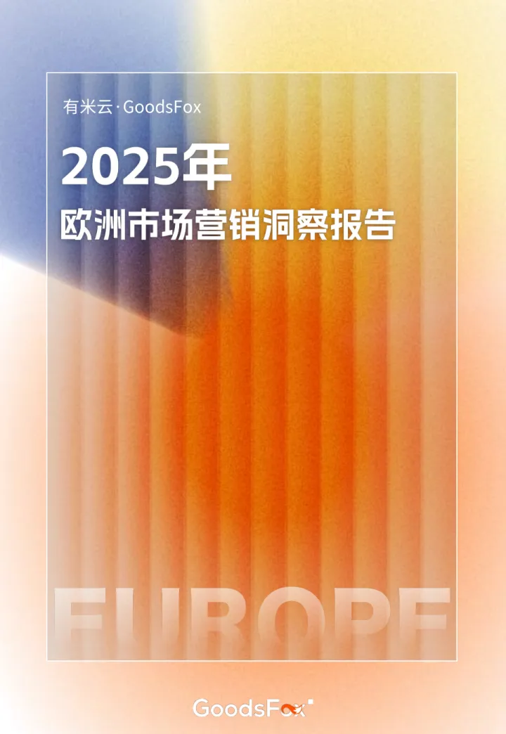 2025年欧洲市场营销洞察报告-GoodsFox_1