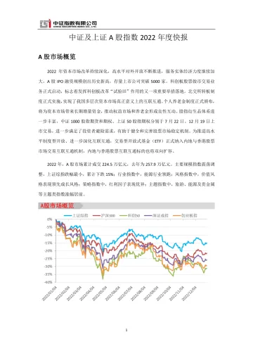 中证指数-中证及上证 A 股指数 2022 年度快报-21页