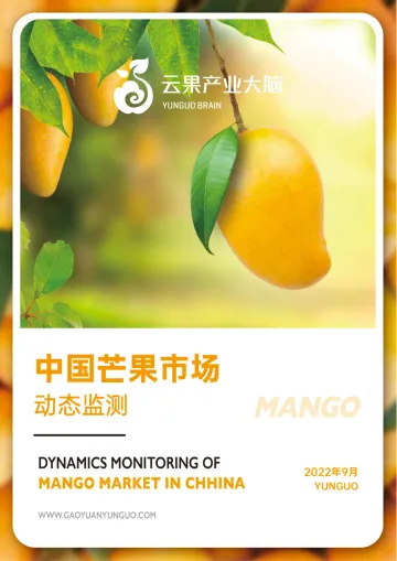 云果：中国芒果市场动态监测(2022年9月)-14页