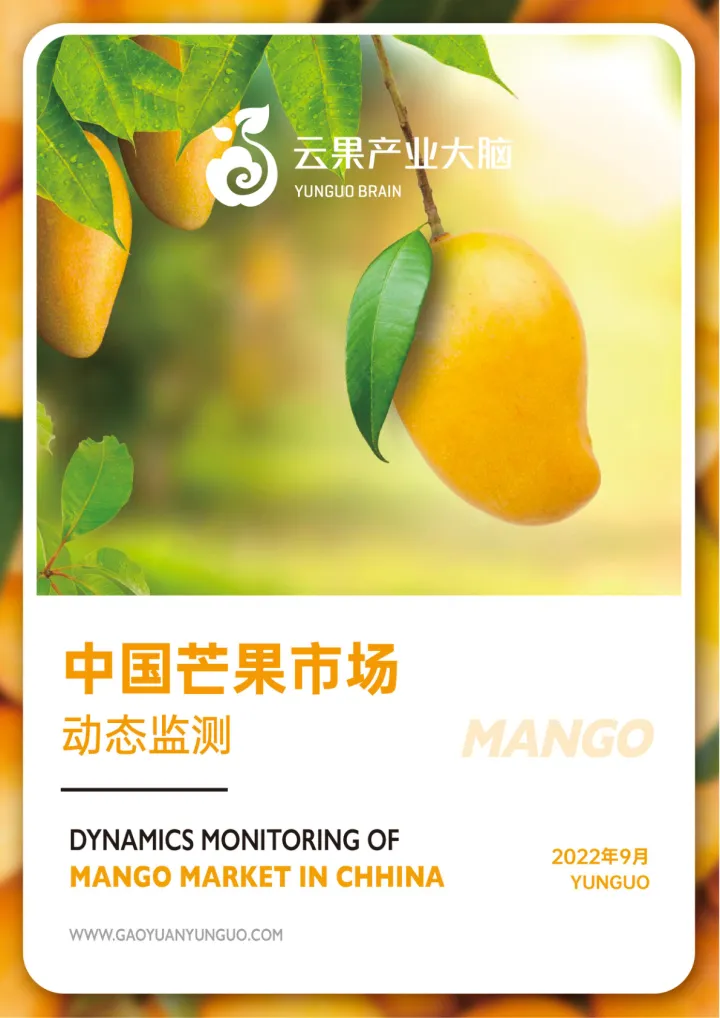 云果：中国芒果市场动态监测(2022年9月)-14页