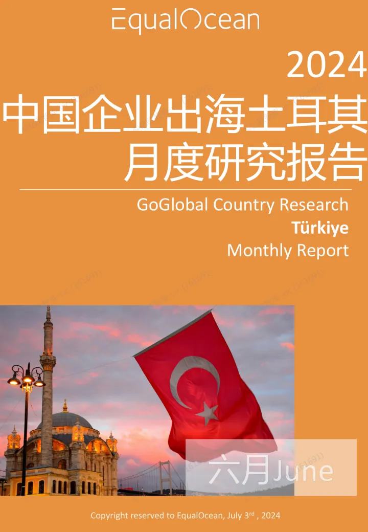 EqualOcean出海国别月报-土耳其(2024.06)_1