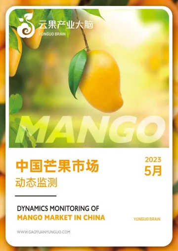 云果-中国芒果市场动态监测（2023年5月）-19页