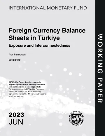 IMF-土耳其的外汇资产负债表：风险敞口与相互关联（英）-2023.6-15页