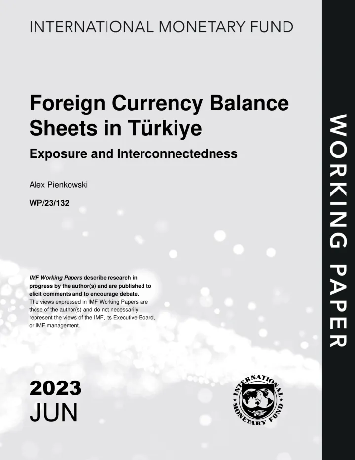 IMF-土耳其的外汇资产负债表:风险敞口与相互关联(英)-2023.6-15页