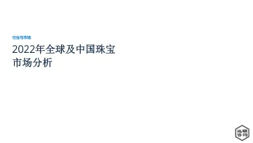 2022年全球及中国珠宝市场分析(节选)-16页-WN8