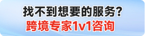 跨境专家1v1咨询