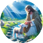 确定了，圣诞礼物就选这款以色列洗脸皂！