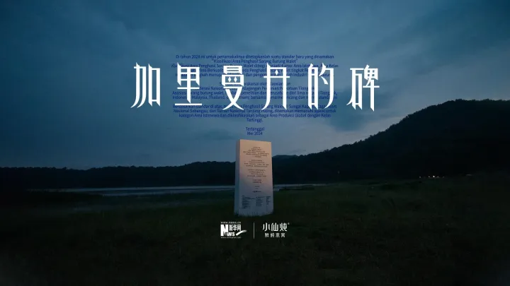 加里曼丹岛上的一块石碑，如何改变燕窝产业？