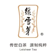 续古传新篇｜看绿雪芽如何泡出一杯“不一样的白茶”