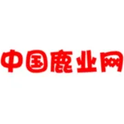 鹿皮胶和鹿角胶傻傻分不清？其实区别还挺大！