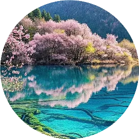 旷野逐风1