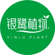 最好的爱“豆”在了解之后