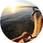 中文标签合规：2025新规下的进口食品挑战与出路