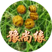 全国首届油莎豆科研成果转化暨产业发展会议在民权举行