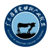 夏季养羊的饲养管理问题你注意到了吗？