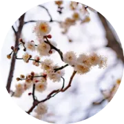 白酒行业首份年报出炉，2025究竟有多“惨”？